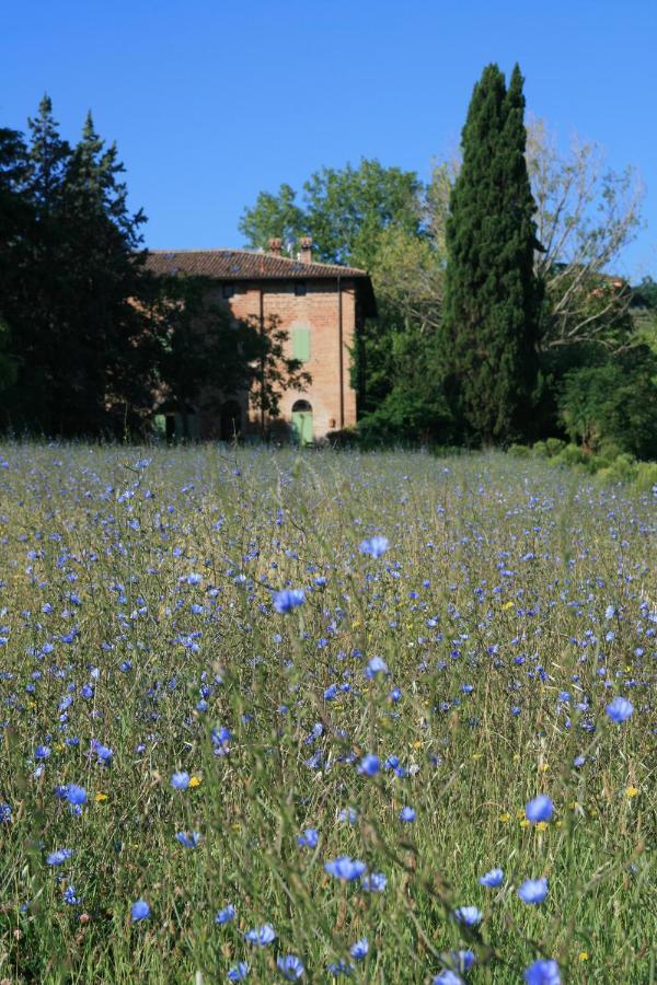 Galluzzo Ancient Country Villa Casalecchio Di Reno Dış mekan fotoğraf