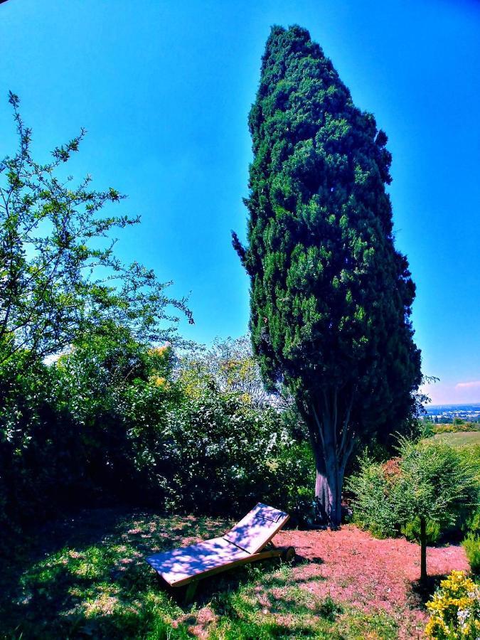 Galluzzo Ancient Country Villa Casalecchio Di Reno Dış mekan fotoğraf