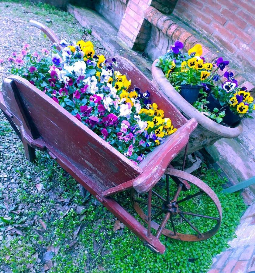 Galluzzo Ancient Country Villa Casalecchio Di Reno Dış mekan fotoğraf